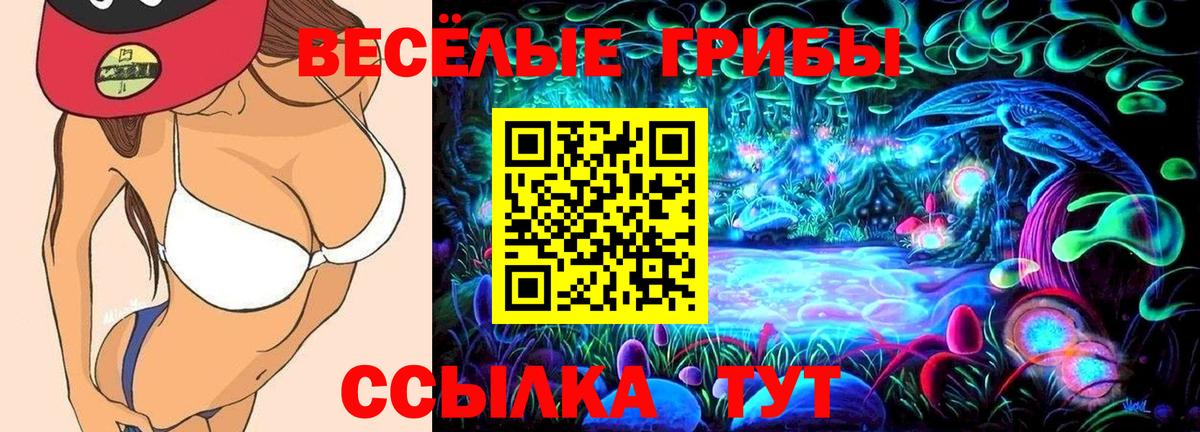 Псилоцибиновые грибы GOLDEN TEACHER Калининград